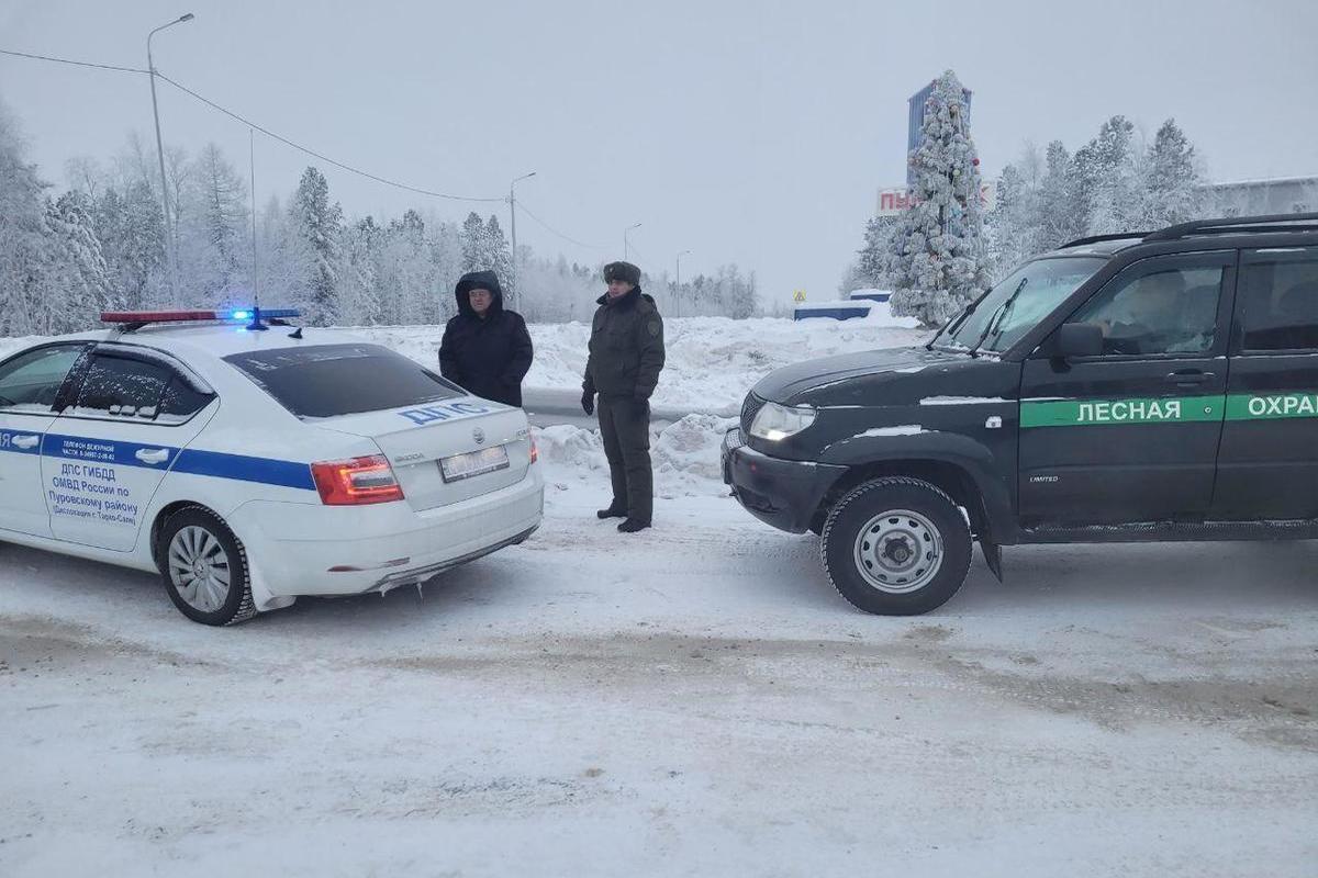 В ЯНАО лесная охрана до Нового года будет ловить «черных лесорубов» - МК  Ямал