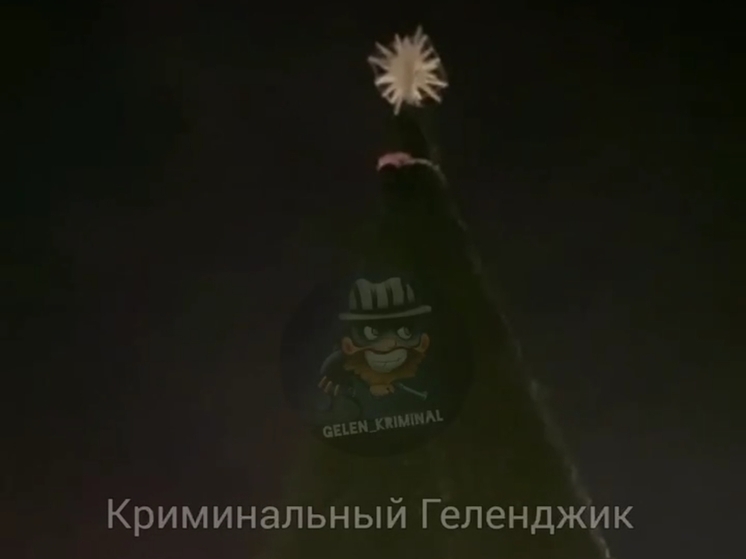 В Геленджике сняли на видео женщину, забравшуюся на главную городскую ёлку