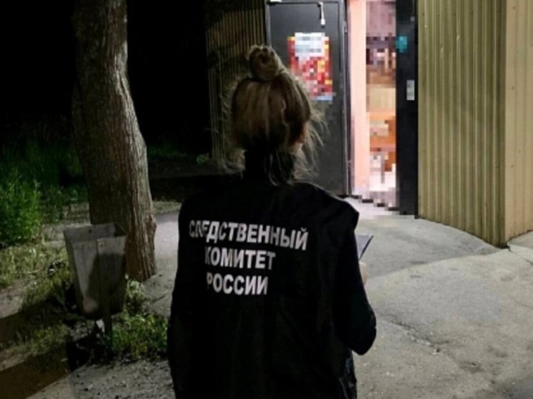 В Ростовской области мужчина во время ссоры застрелил мать из ружья