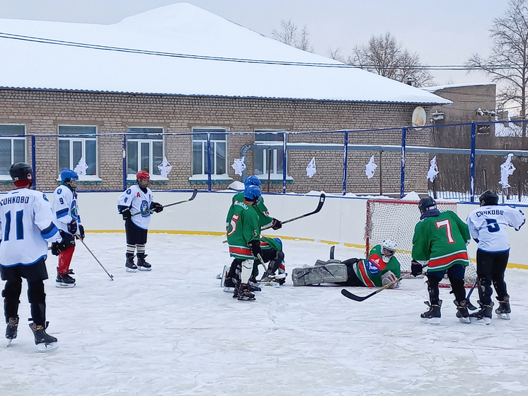В Тверской области Дед Мороз посетил хоккейный матч