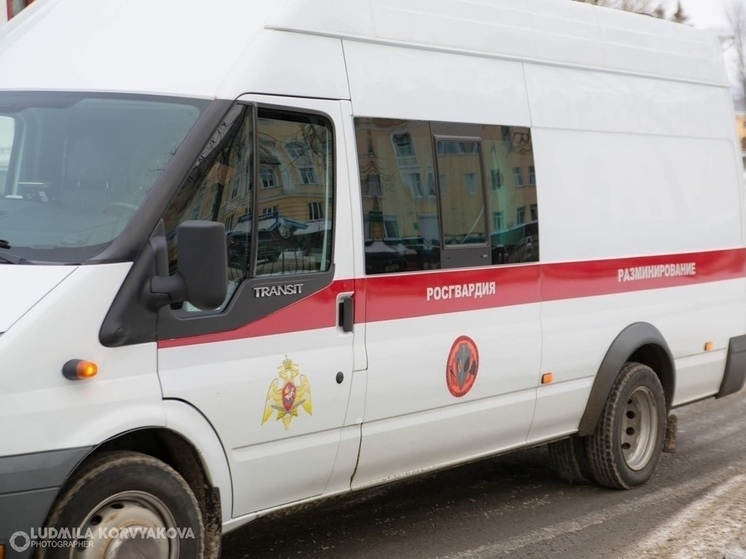 Все школы в Пудоже эвакуировали из-за сообщения о минировании