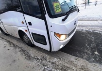 Автобус с школьниками сбил косулю в Кировском округе Омска