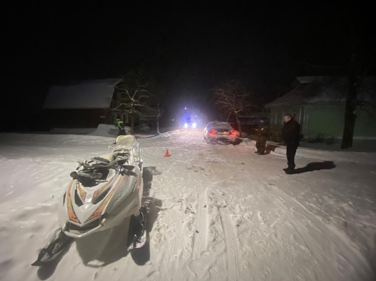 В Ярославской области малолетка на снегоходе протаранила автомобиль