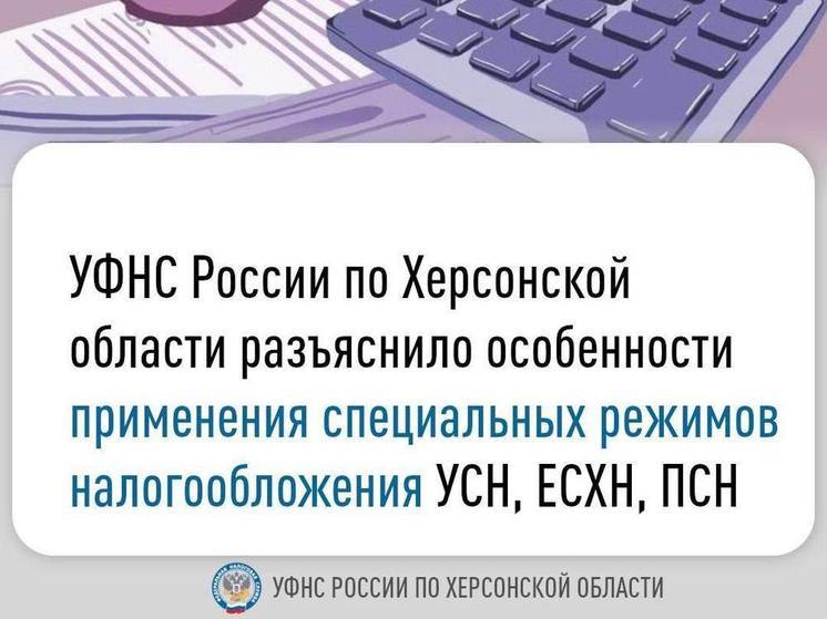Налоговая обучает херсонских предпринимателей