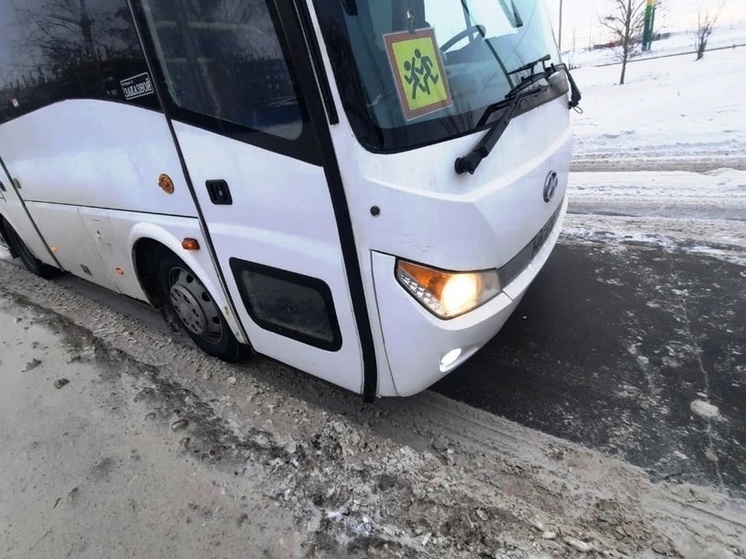 Школьный автобус сбил косулю в Омске