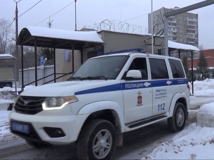 В Подмосковье задержали подозреваемого в краже 65 миллионов рублей