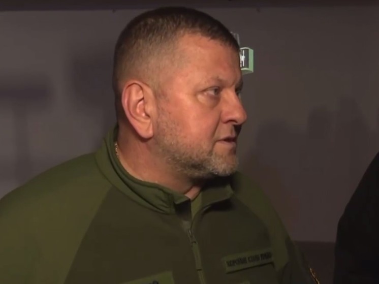 Залужный раскритиковал проведенное Зеленским увольнение областных военкомов