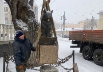 В Оренбурге ученый кот, с 2013 года сидевший под пушкинским дубом, сменил место «прописки»