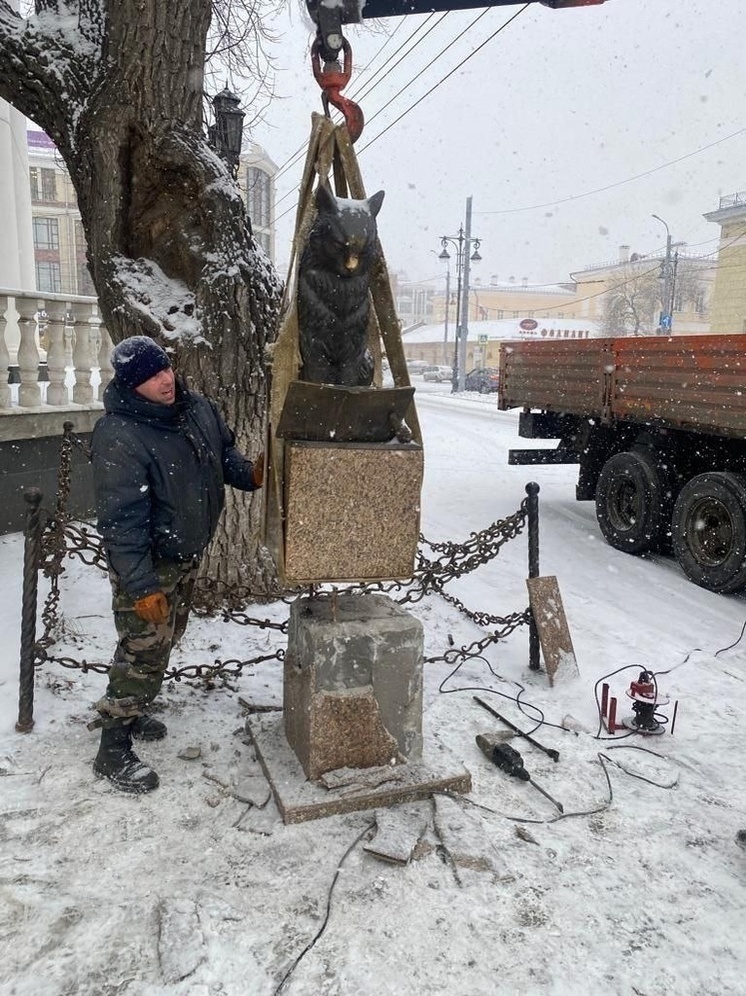 В Оренбурге кот от драмтеатра переехал в ящик