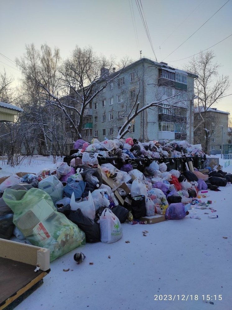 «Томск превращается в помойку»: депутат гордумы объехал контейнерные площадки