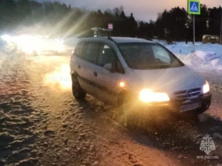 В Калужской области сбили пешехода, перебегавшего дорогу в неположенном месте