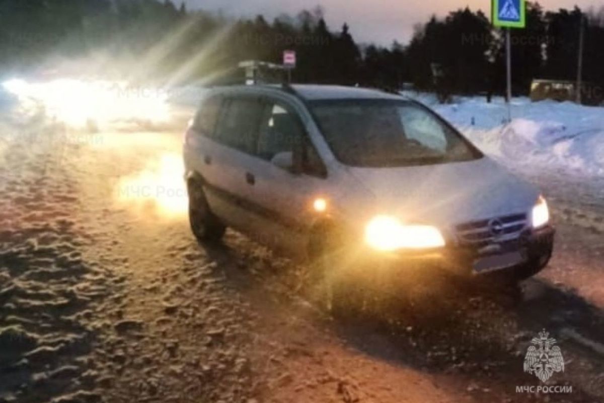 В Калужской области сбили пешехода, перебегавшего дорогу в неположенном месте