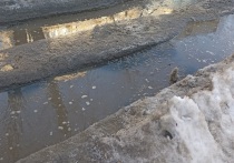 В Абдуллинском городском округе перекрыли дорогу