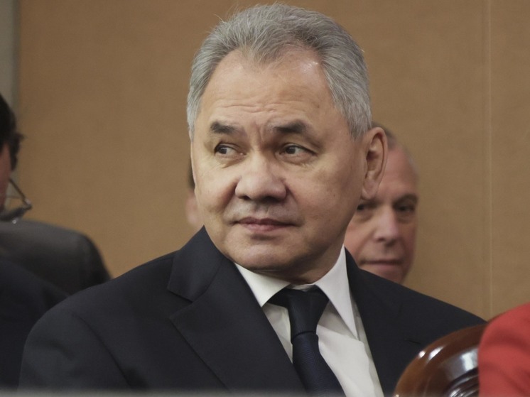 Шойгу поручил выполнить последнюю просьбу погибшего в Марьинке бойца Рудакова