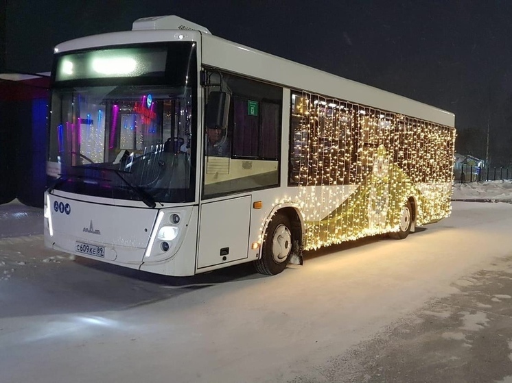 В Тарко-Сале пассажиров возят по-новогоднему сияющие автобусы