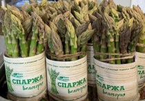 В каждом районе и горокруге Белгородской области планируют создать предприятие, которое будет заниматься выращиванием органической продукции