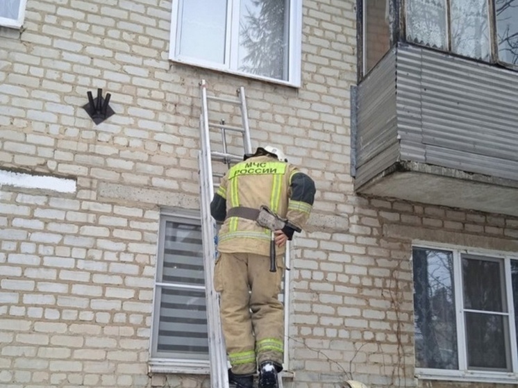 В Курской области огнеборцы спасли двух женщин, которым стало плохо