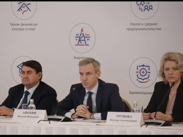 Василий Анохин принял участие в работе Комиссии Государственного Совета РФ по направлению «Экономика и финансы»