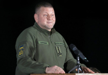 Прослушка, которая была найдена в кабинете главнокомандующего украинской армии Валерия Залужного, оказалась муляжом