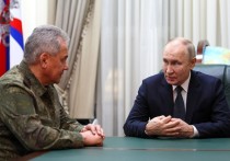 Выступления российского президента Владимира Путина и главы Министерства обороны РФ Сергея Шойгу в ходе коллегии оборонного ведомства будут открытыми для прессы