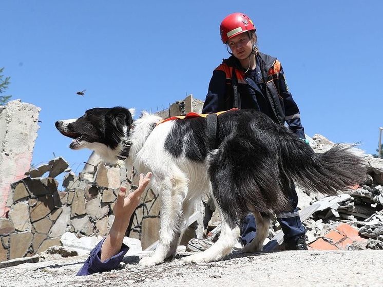 Россия предложила Китаю помощь в ликвидации последствий землетрясения