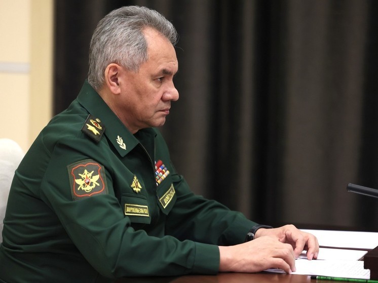 Шойгу рассказал о кратном росте числа иностранных добровольцев в российской армии