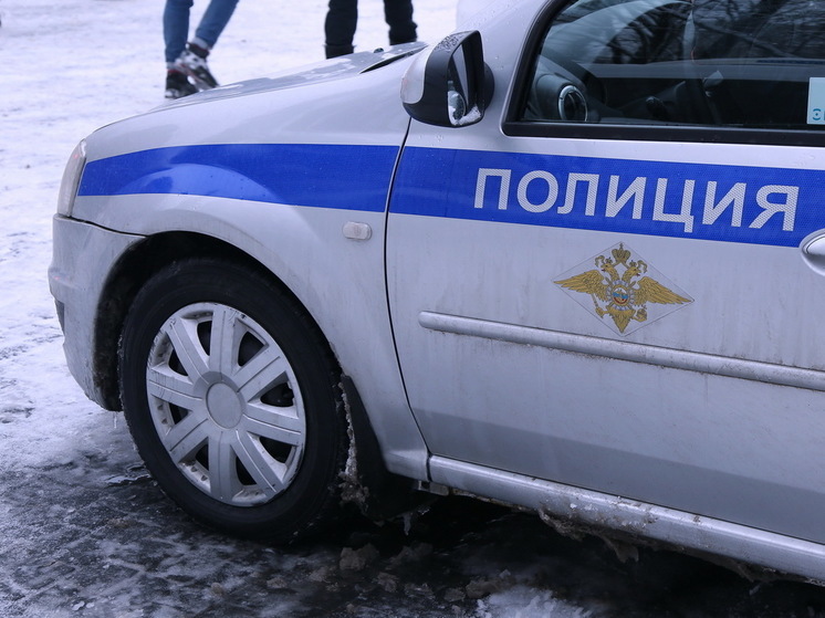 В Орехово-Зуево задержали дебошира в местном магазине