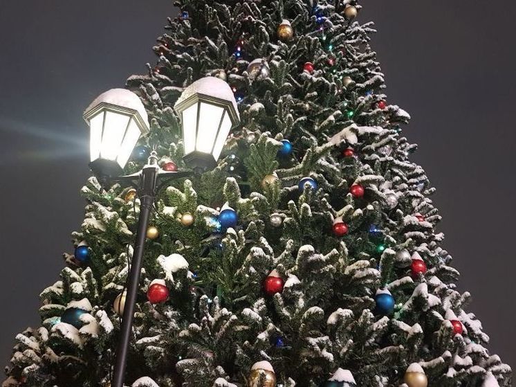 Губернаторская елка для детей участников СВО пройдет 22 декабря