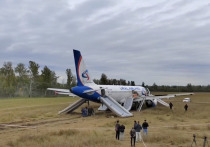 Представители авиакомпании «Уральские авиалинии» сообщили, что пилотам, которые посадили самолет на пшеничное поле в Новосибирске, никто не предлагал написать заявление об уходе по собственному желанию