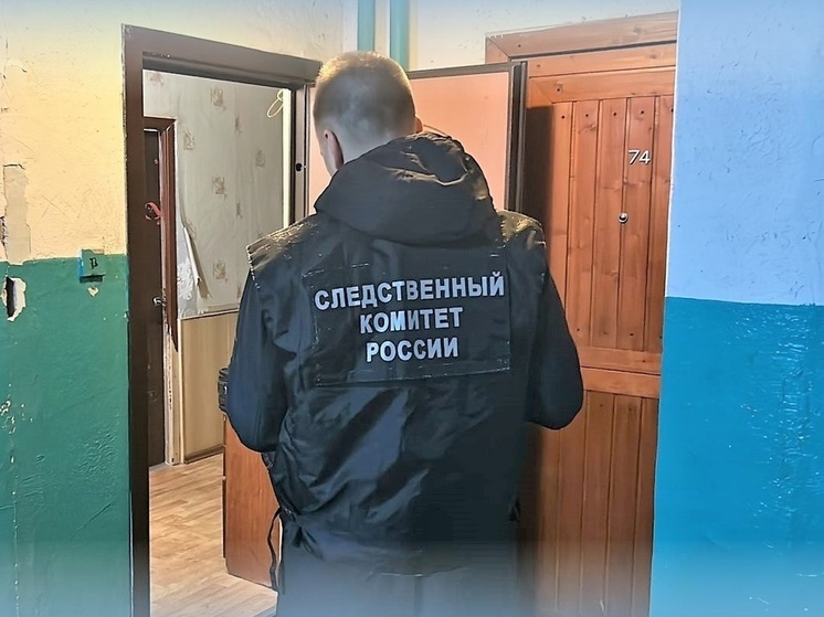 Пьяный рецидивист до смерти забил собутыльника в Петрозаводске