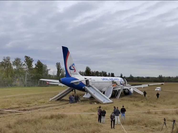 В "Уральских авиалиниях" высказались о судьбах посадивших самолет в поле пилотов
