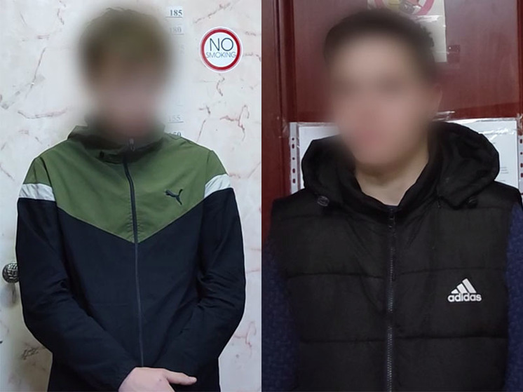 В Свирске двое молодых людей убили таксиста и пенсионерку