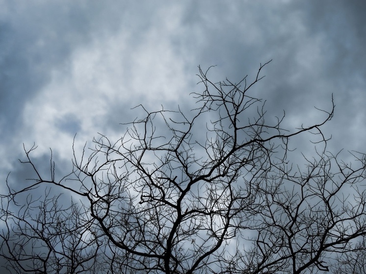 В Хакасии 20 декабря ожидается переменная облачность
