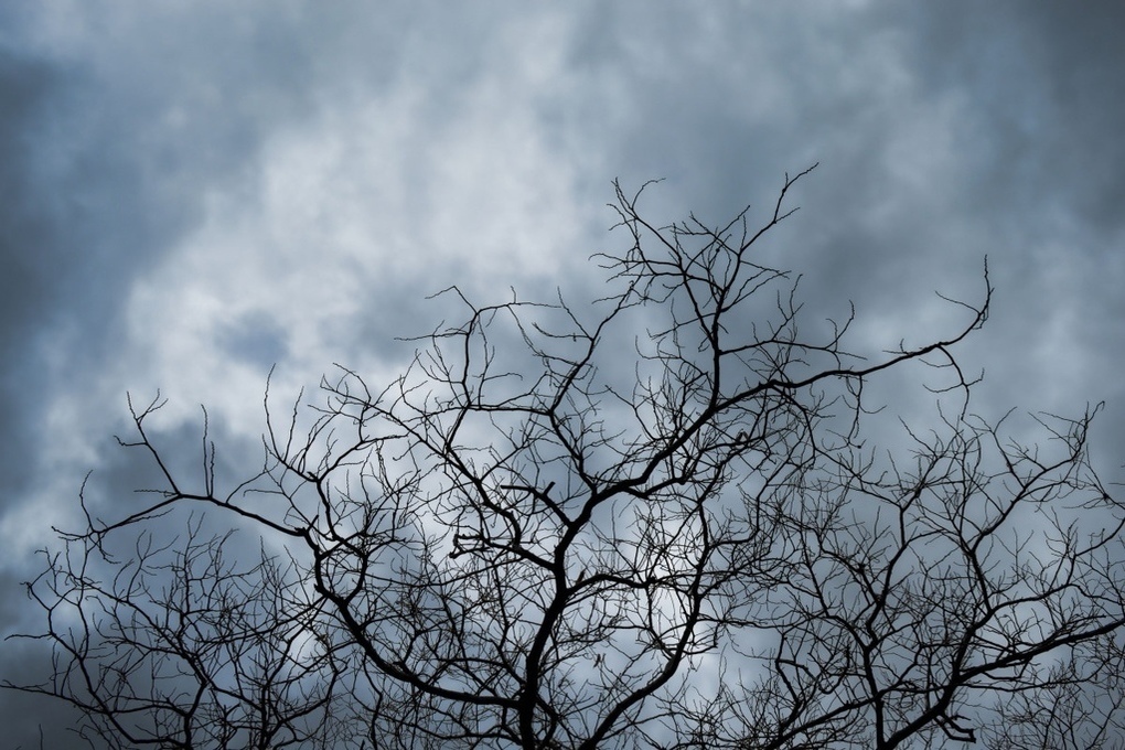 В Хакасии 20 декабря ожидается переменная облачность