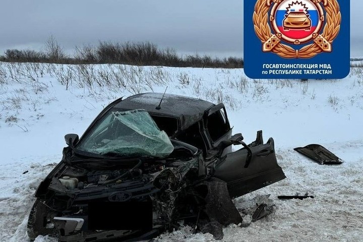 На трассе под Лениногорском при обгоне грузовика погиб водитель «Лады»