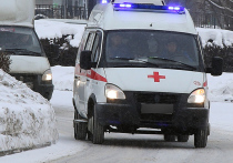 Два ученика пострадали от упавшего им на голову снега с крыши школы в Липецке