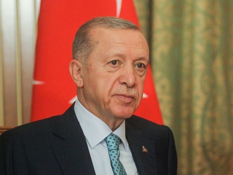 Эрдоган усомнился в перспективах вступления Украины в ЕС