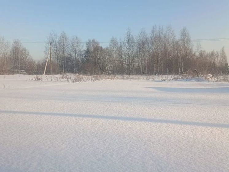 Синоптик предупредил о возвращении морозов в Подмосковье