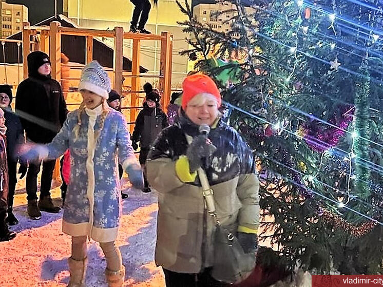Во Владимире начались новогодние представления во дворах