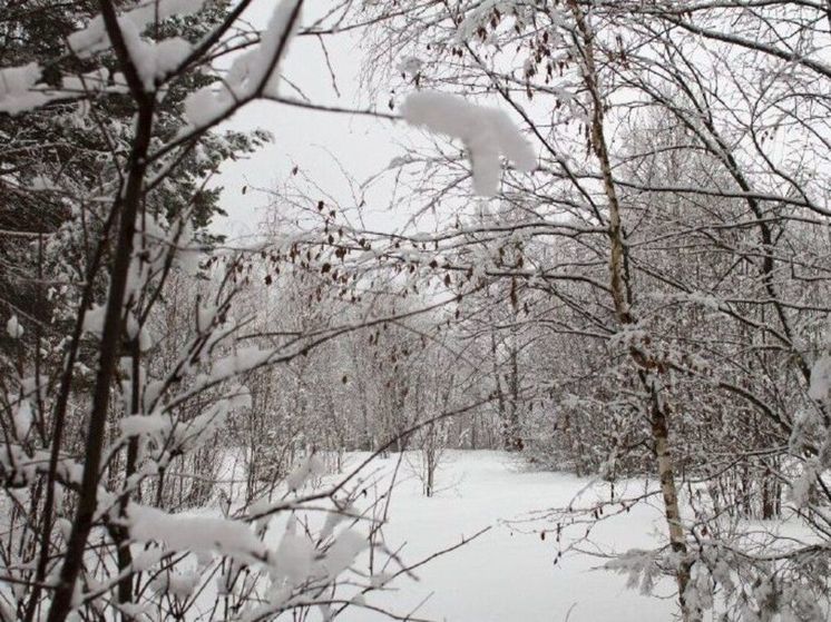 «Желтый» уровень погодной опасности будет действовать до четверга