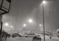 Недовольные качеством уборки снега на придомовых территориях красноярцы могут пожаловаться в управляющую компанию или товарищество собственников жилья
