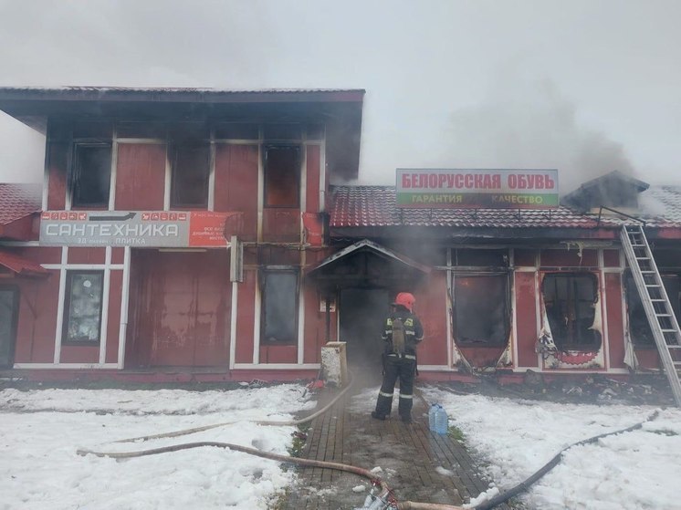 Пожарным удалось ликвидировать возгорание на городском рынке в Кингисеппе