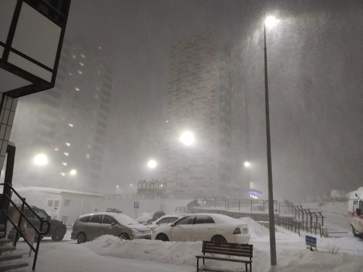 В Госдуме рассказали, кому жаловаться на неубранный снег в Красноярске