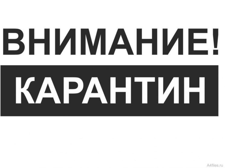 В Орловской области увеличилось количество классов, закрытых на карантин