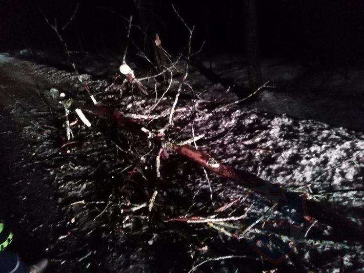 Спасатели убрали упавшее на дорогу дерево в поселке Рябово