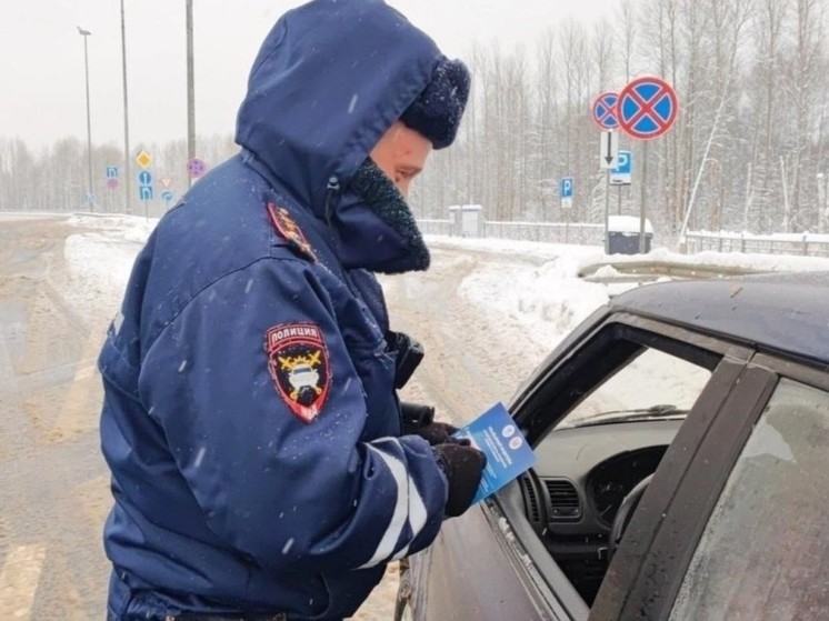 Новгородские автоинспекторы открыли консультационные площадки на трассе М-11