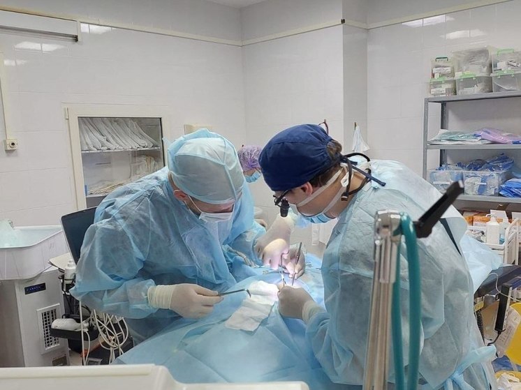 Бригада врачей из Санкт-Петербурга спасла жизнь младенцу со Ставрополья