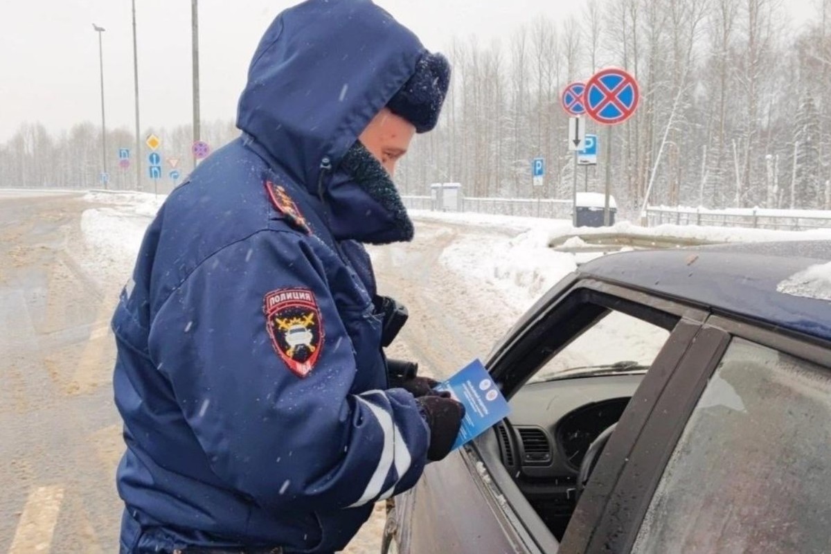 Новгородские автоинспекторы открыли консультационные площадки на трассе М-11