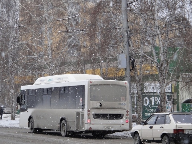 16 маршрутов будут бесплатно возить школьников в Новосибирске на каникулах