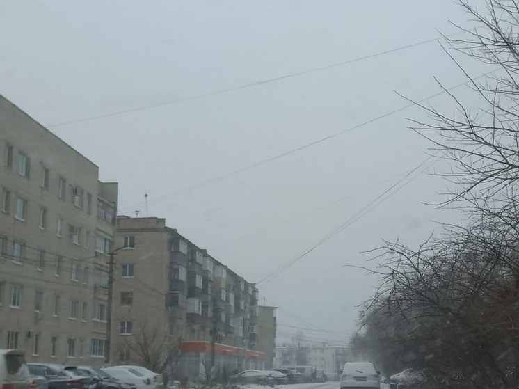 В Курской области 21 декабря ожидается +3 градуса и без осадков